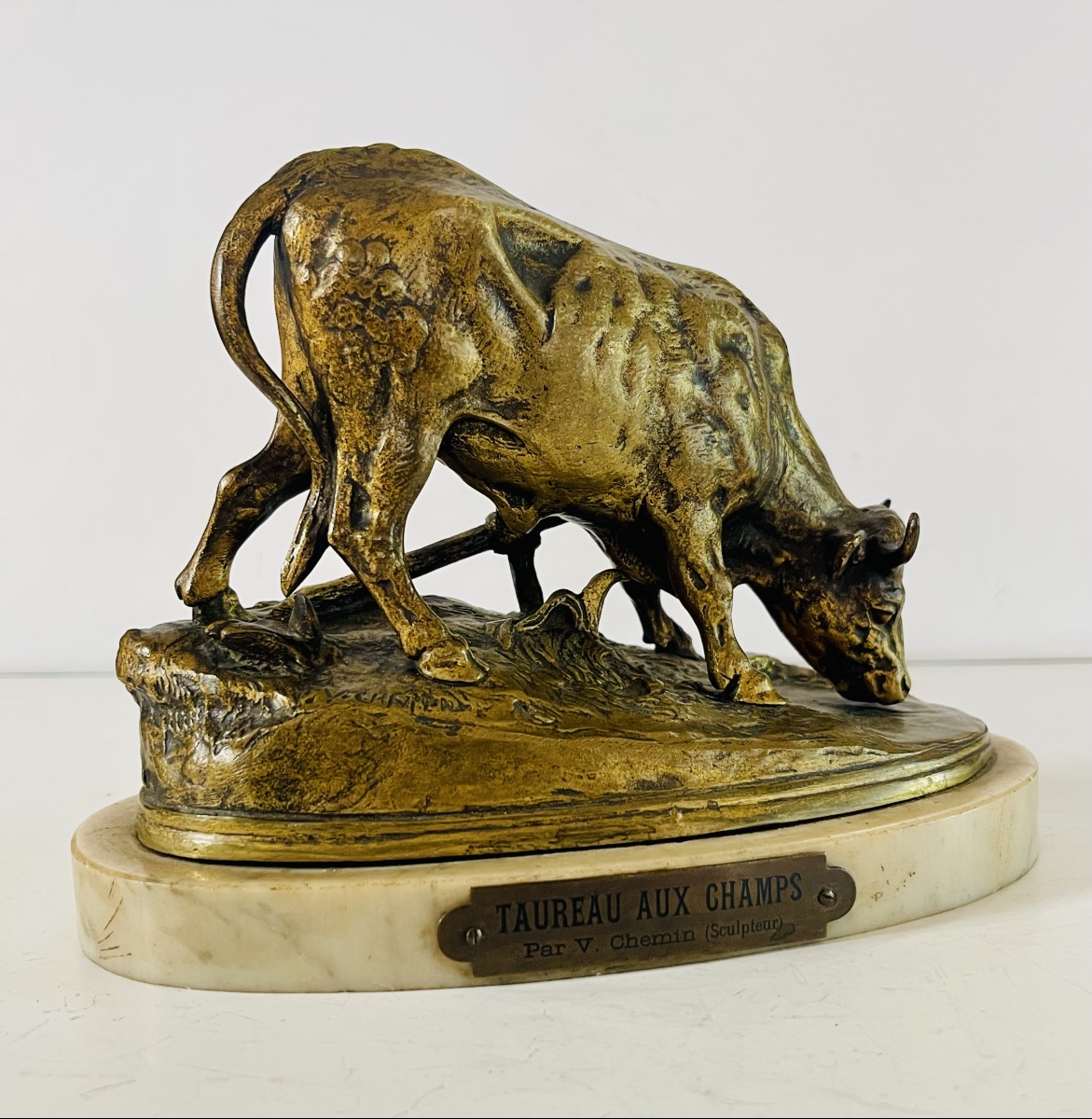 Taureau au champ - Victor CHEMIN-photo-2